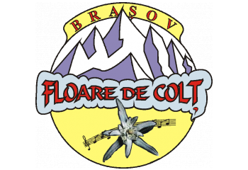 Floare de Colt Brasov