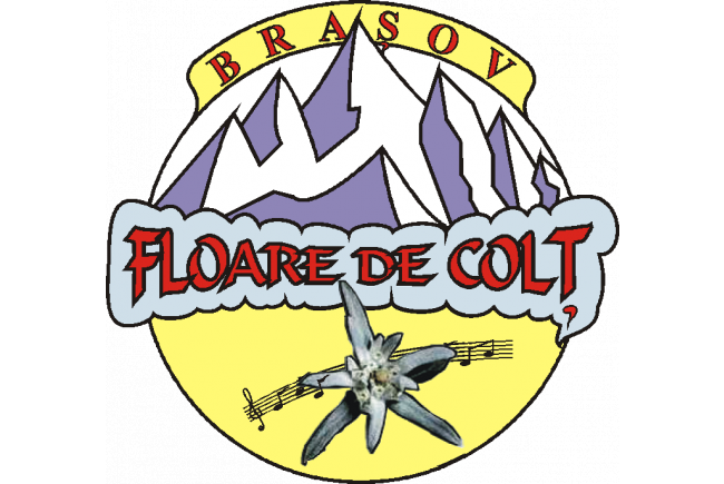 Floare de Colt Brasov