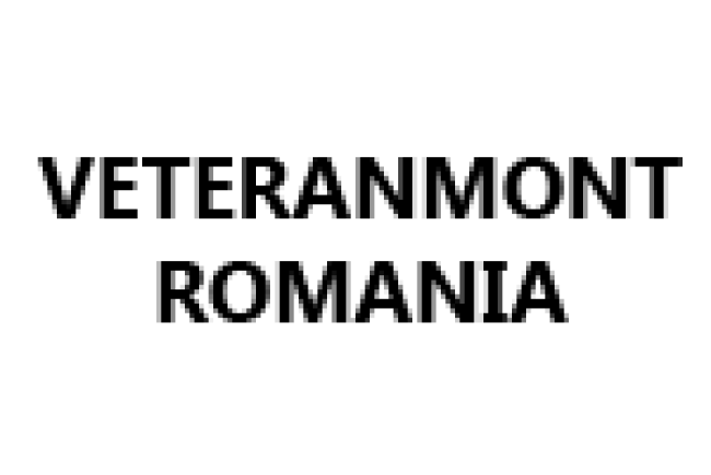 veteramont romania, clubul veteramont