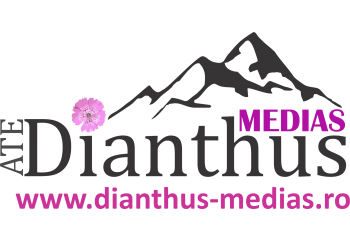 Dianthus Medias